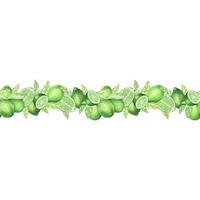 Watercolor seamless border made of limes, slice of lime, branches and leaves. Hand drawn vignette for cards, invitations, cosmetics or food label design concept, with text space vector