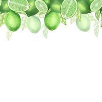 Watercolor border made of limes, slice of lime, branches and leaves. Hand drawn vignette for cards, invitations, cosmetics or food label design concept, with text space vector