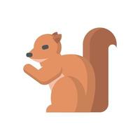 Squirrel icon, flat icon vector illustration isolated on a white background. for the theme of animal, rodent and others