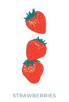 Vector seamless pattern with strawberries . Flat illustration