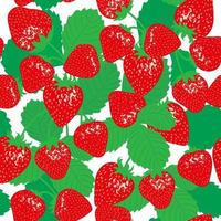 Vector seamless pattern with strawberries . Flat illustration