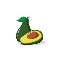 avocado vector illustration