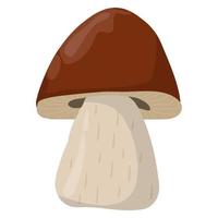 Porcini mushroom in realistic style. Edible Organic mushrooms. Truffle brown cap. Forest wild mushrooms types. Colorful vector illustration isolated on white background.