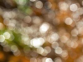 Abstract colorful background from a unfocused photography of natural environments taken in the Andean mountains of central Colombia. photo