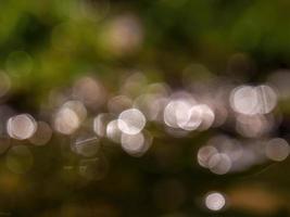 Abstract colorful background from a unfocused photography of natural environments taken in the Andean mountains of central Colombia. photo