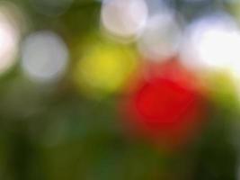 Abstract colorful background from a unfocused photography of natural environments taken in the Andean mountains of central Colombia. photo