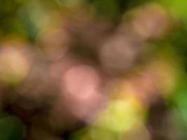 Abstract colorful background from a unfocused photography of natural environments taken in the Andean mountains of central Colombia. photo