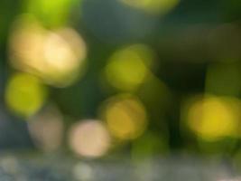 Abstract colorful background from a unfocused photography of natural environments taken in the Andean mountains of central Colombia. photo