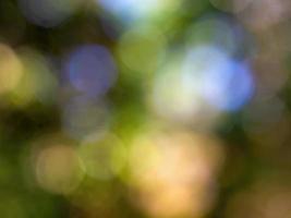 Abstract colorful background from a unfocused photography of natural environments taken in the Andean mountains of central Colombia. photo