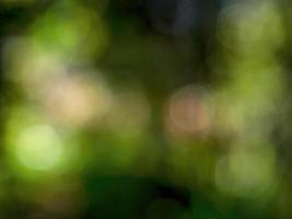 Abstract colorful background from a unfocused photography of natural environments taken in the Andean mountains of central Colombia. photo