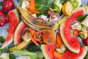 Household waste for composting from fruits and vegetables on a gray background. Top view. Flat lay. photo