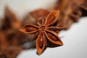 Brown fruit close up botanical background Illicium verum family schisandraceae star anise with seeds high quality big size print photo