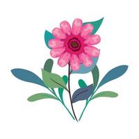 pink flower drawing with leaves vector design