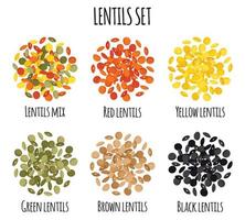 Lentils set with Red, Yellow, Green, Brown and Black lentils. vector