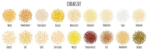 Cereals set with Wheat, Bulgur, Couscous, Semolina, Sago, Barley, Rye, Oats, Millet, Teff, Amaranth etc. vector