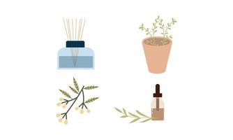 homeopatía, aromaterapia, conjunto de medicina tradicional natural. hierbas, té de hierbas, elementos esenciales naturopáticos homeopáticos, plantas curativas. vector