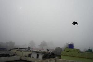 Kolkata City Scape in Foggy Morning 8 photo