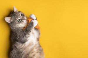 Adorable cat hugs his knitted toy, lying on a yellow background. Copy space. photo