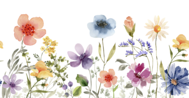 Seamless border with colorful meadow flowers, watercolor illustration. png
