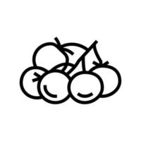 bunch tomato line icon vector illustration