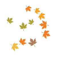 autumn Leaf background vector