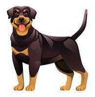 Rottweiler dog vector cartoon illustration