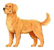 Golden retriever dog vector cartoon illustration