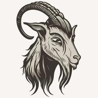 animal head domestic goat vector