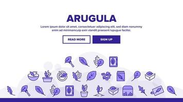 Arugula Or Rucola Landing Header Vector