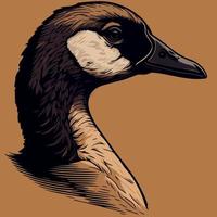 animal head goose a waterfowl bird vector