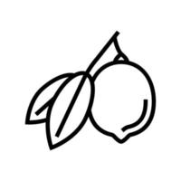 lemons citrus with leaf line icon vector illustration