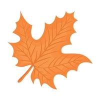 diseño de vector de hoja de otoño aislado