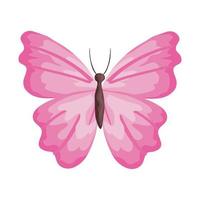 pink butterfly insect vector design