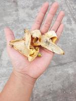 hands with banana peel trash on top photo