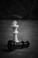 32,900+ Chess King And Queen Stock Photos, Pictures & Royalty-Free