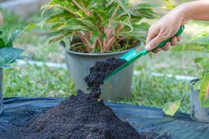 Preparation of soil mixture from fertile compost, humus and vermiculite on  black garbage bag floor in garden. Mixing the soil components for the preparation of the substrate for transplanting plants. photo
