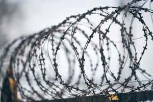 Barbed wire on fence of restricted area photo