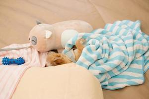 Close up chihuahua puppy dog sleeping with toy and doll. photo