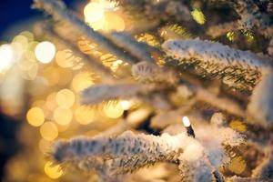 Christmas tree covered snow with yellow garlands lights and bokeh copy space with sparkled bokeh photo