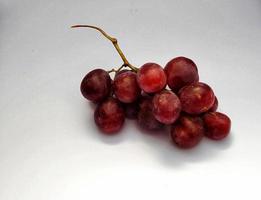 Fresh grapes just picked from the vineyard, closeup view. photo