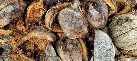 Pile of dry coconut or cocos nucifera shells, top view. photo