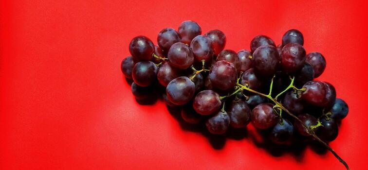 Negative space of vitis vinifera fruit isolated on red background. photo