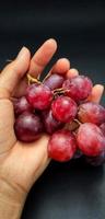 un hombre sostiene una fruta de vitis vinifera. foto