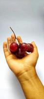 Man holding a vitis vinifera fruits. photo