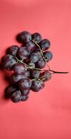 retrato de frutos de vitis vinifera foto