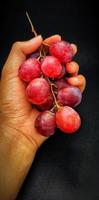 hombre sosteniendo una fruta de vitis vinifera. foto