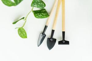 Home floriculture. Plant transplant. Pot, tub, plant transplant tools, drainage, shovel, rake on green branch background, epipremnum flowerpot transplant. Flat lay, horizontal photo. photo