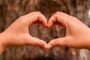 Two hands intertwined in a heart shape, nature background. photo