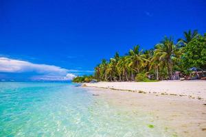 Beautiful tropical beach with palm trees, white sand, turquoise ocean water and blue sky photo