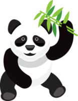Kina känd djur- panda png